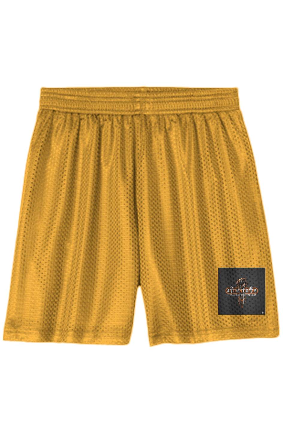 Authenticitee Youth Mesh Shorts